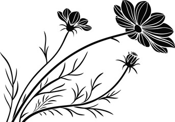 Cosmos Flower Design for Digital and Print Crafts. Beautiful Cosmos Flower Design for Cricut Projects. Cosmos Bloom Flower Design for Clipart and Stickers