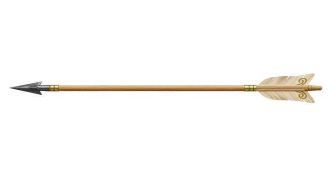 Isolated Wooden Arrow with Metal Tip and Feather Fletching