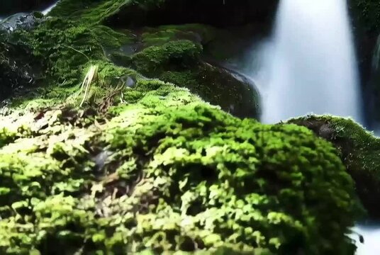 Emerald Stones and Flowing Water