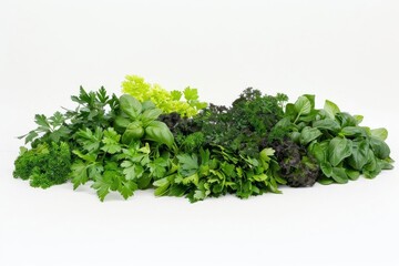 Obraz premium A collection of fresh herbs with various shades of green, including parsley, basil, dill, and lettuce, arranged horizontally on a white surface.