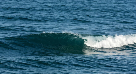 Fototapeta premium Gentle Ocean Wave Rolling Across Tranquil Sea Surface Under Sunlight