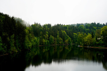 A tranquil lake reflects a dense forest shrouded in morning mist. Soft fog and still water create a...