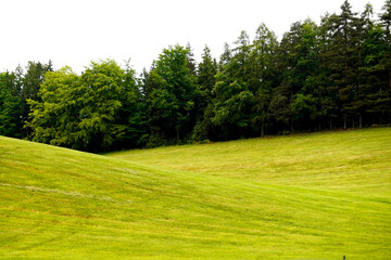 Small mountains with forested tops and freshly mowed grass in the foreground. Peaceful rural landscape with natural textures, greenery, and rolling hills.

