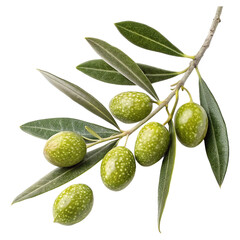 green olives with leaves