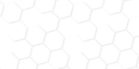 Background with hexagons. Abstract background with lines.creative emboss light honeycomb polygonal web,Abstract white hexagon concept background,white and hexagon abstract background. white paper text