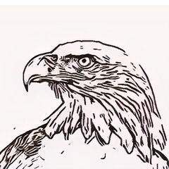 eagle on a branch