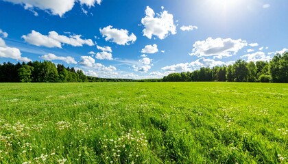Fototapeta premium Endless green meadow under a bright blue sky with fluffy white clouds, sunny day, vibrant natural scenery, simple and clean, ideal for nature backgrounds