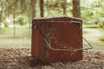 Weathered clay box resting on a forest floor surrounded by lush greenery under soft, diffused sunlight on a serene afternoon