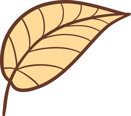 Autumn Leaf, Single Beige Foliage, Nature Concept.