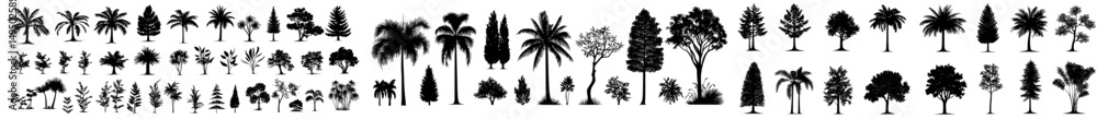 Poster the silhouette tree line drawing set offers a side view perspective, complete with a range of outlin