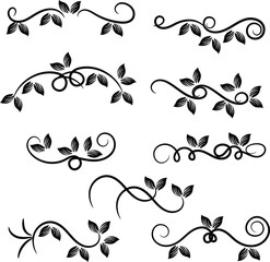 Collection of Elegant Black Floral Vine Swirls and Leaf Designs