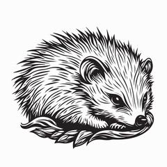 Friendly hedgehog image vector isolated on white background.