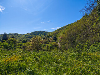 Obraz premium Charavgi, Pogoni, Epirus, Greece
