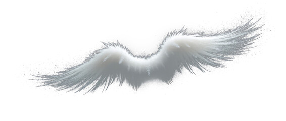 Fototapeta premium Soft feather angel wings isolated on white or black background