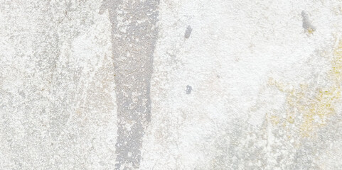 Abstract white grunge dust texture concrete wall on white background Vector for banner and business.