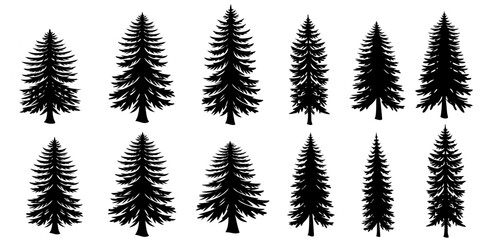 set of fir treesEvergreen Silhouette Collection Description 1: A set of twelve distinct evergreen tree silhouettes arranged in a grid, showcasing unique shapes and sizes against a clean whit backgroud