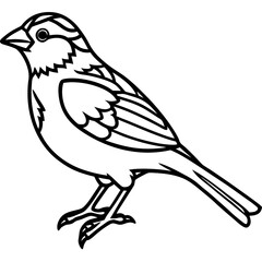 Enchanted Sparrow line art vector