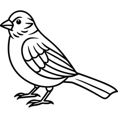 Enchanted Sparrow line art vector