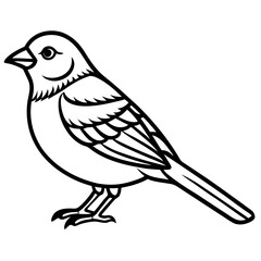 Enchanted Sparrow line art vector