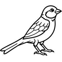 Enchanted Sparrow line art vector
