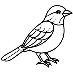 Enchanted Sparrow line art vector