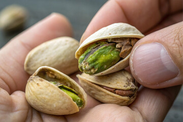 pistachio nuts in hand