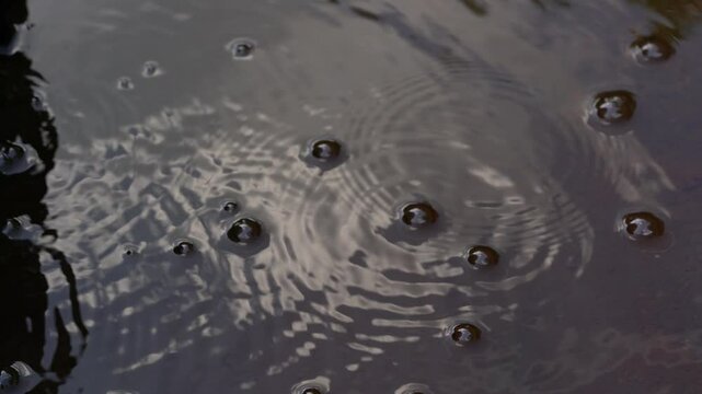 air bubbles on flowing water