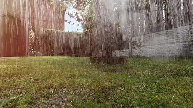 A person watering a lush green garden with a hose during a sunny day. Fresh water sprays over flowers and plants, keeping the garden healthy and vibrant.