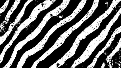 Texture with plain black and white zebra pattern, Black and white wavy stripes. Abstract background.