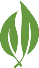 Elegant illustration of two green leaves intertwined. Symbol of growth, nature, and organic products. Ideal for branding, logo design,  ecofriendly initiatives.
