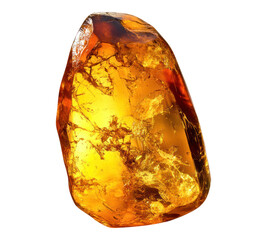 Amber fossil on transparent background