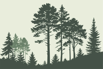 Pine Fir Forest Conifer Coniferous Tree Silhouette