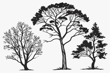 Collection tree silhouette isolated on white background.
