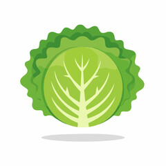 Fresh Green Lettuce Simple Vector Illustration – Organic Vegetable Clip Art for Healthy Food and Farm Design