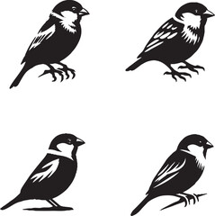 Black and White Bird Silhouettes in Unique Poses
