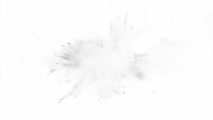Vector white paint color powder festival explosion burst isolated white background. Abstract explosion white background.	
