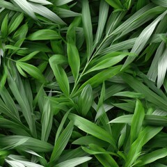 Obraz premium Lush green grass showcases intricate details and textures in a top-down view, capturing the essence of a vibrant outdoor setting SEAMLESS PATTERN