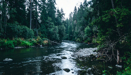 Serene Forest River Landscape - Dark Moody Nature