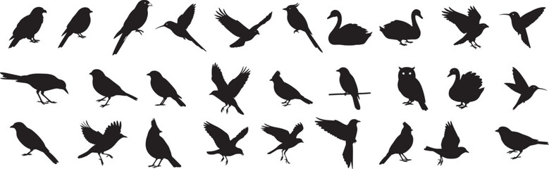 Bird silhouettes vector collection various birds black shapes flying sitting perching swan owl hummingbird