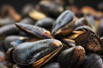 Mussels