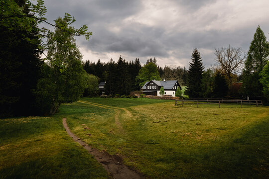 Spring forests of Central Europe