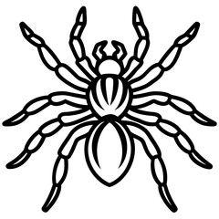 Metallic Tarantula line art vector