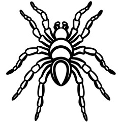 Metallic Tarantula line art vector