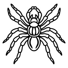 Metallic Tarantula line art vector