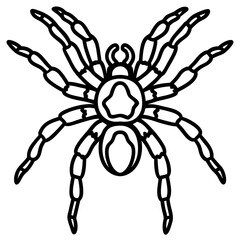 Metallic Tarantula line art vector