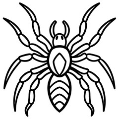 Metallic Tarantula line art vector