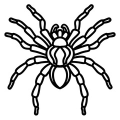 Obraz premium Metallic Tarantula line art vector