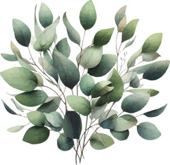 Elegant Watercolor Eucalyptus Illustration in 4K