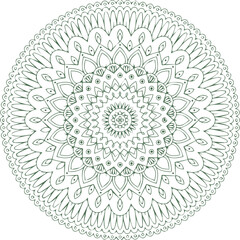 Beautiful flower art and mandala vector design
