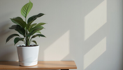 A single stem with multiple house plant green leaves growing out of a ceramic pot on a wooden shelf, in front of a neutral wall, with copy space.